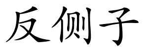 反侧子的解释