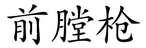前膛枪的解释