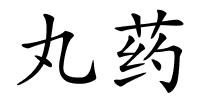丸药的解释