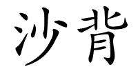 沙背的解释