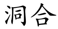 洞合的解释