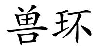 兽环的解释