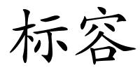 标容的解释