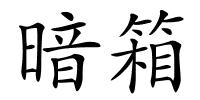 暗箱的解释