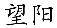 望阳的解释