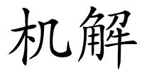 机解的解释