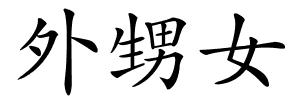 外甥女的解释
