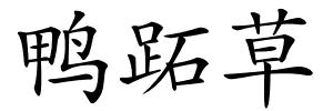 鸭跖草的解释
