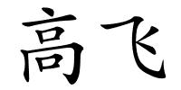高飞的解释