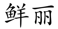 鲜丽的解释