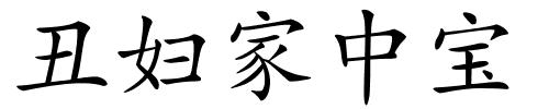 丑妇家中宝的解释