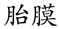 胎膜的解释