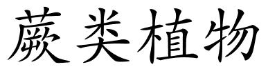 蕨类植物的解释