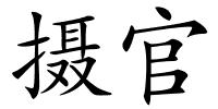 摄官的解释