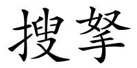 搜拏的解释