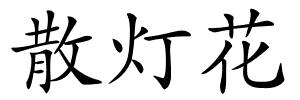 散灯花的解释