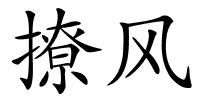 撩风的解释
