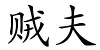 贼夫的解释