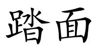 踏面的解释