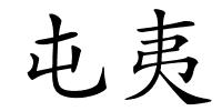 屯夷的解释