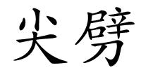 尖劈的解释