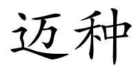 迈种的解释