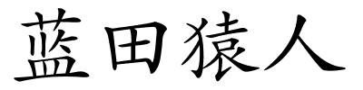 蓝田猿人的解释
