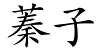 蓁子的解释