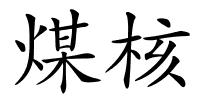 煤核的解释
