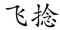 飞捻的解释