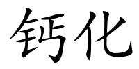 钙化的解释