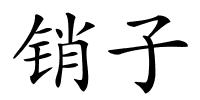销子的解释