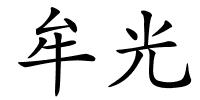 牟光的解释