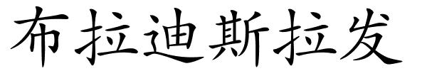 布拉迪斯拉发的解释