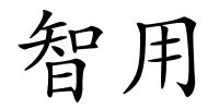 智用的解释