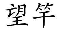 望竿的解释