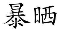暴晒的解释