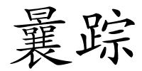 曩踪的解释