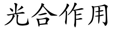 光合作用的解释