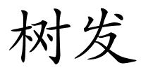 树发的解释