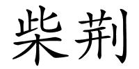 柴荆的解释