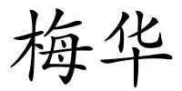 梅华的解释