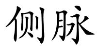 侧脉的解释