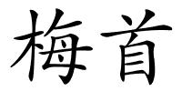 梅首的解释