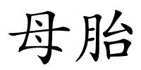 母胎的解释