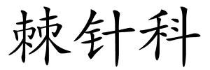 棘针科的解释