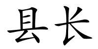 县长的解释