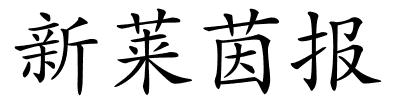 新莱茵报的解释