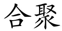合聚的解释