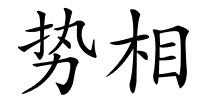 势相的解释